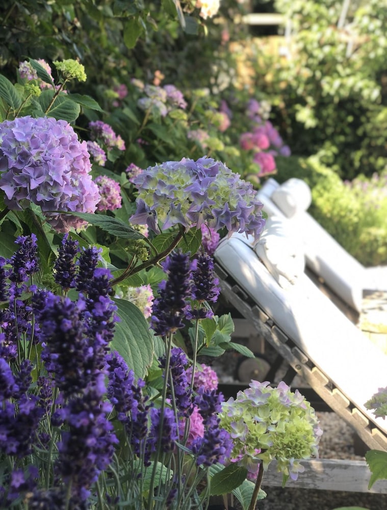 Foto - De Roos Leeuwarden