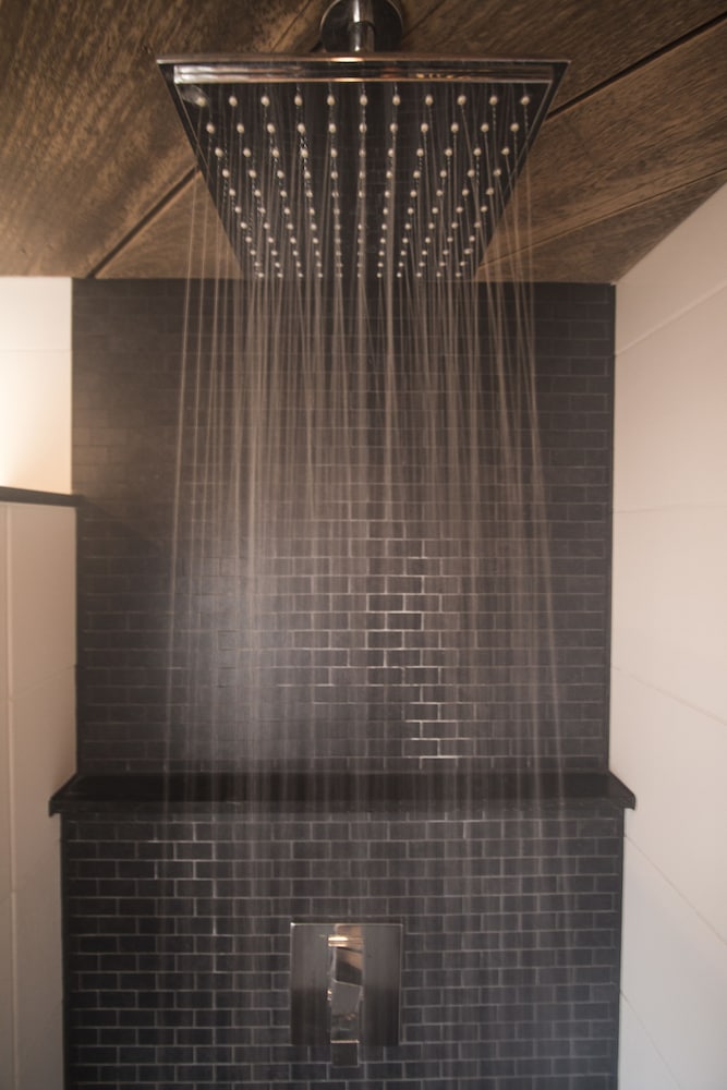 Foto - De Roos Leeuwarden