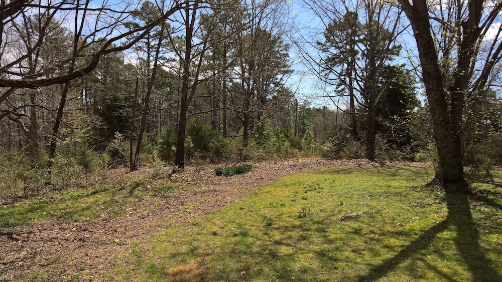 Cabins at Sugar Mountain in Eureka Springs | Best Rates ...