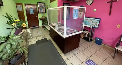 Hotel Centenario Melaque