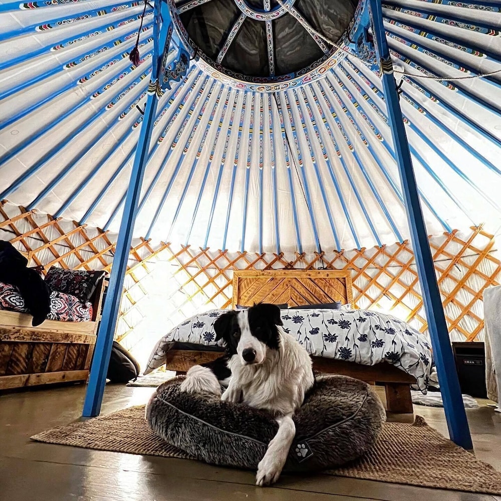 The Blue Jay Yurt Our Pet Friendly Yurt Lakeside Vrbo