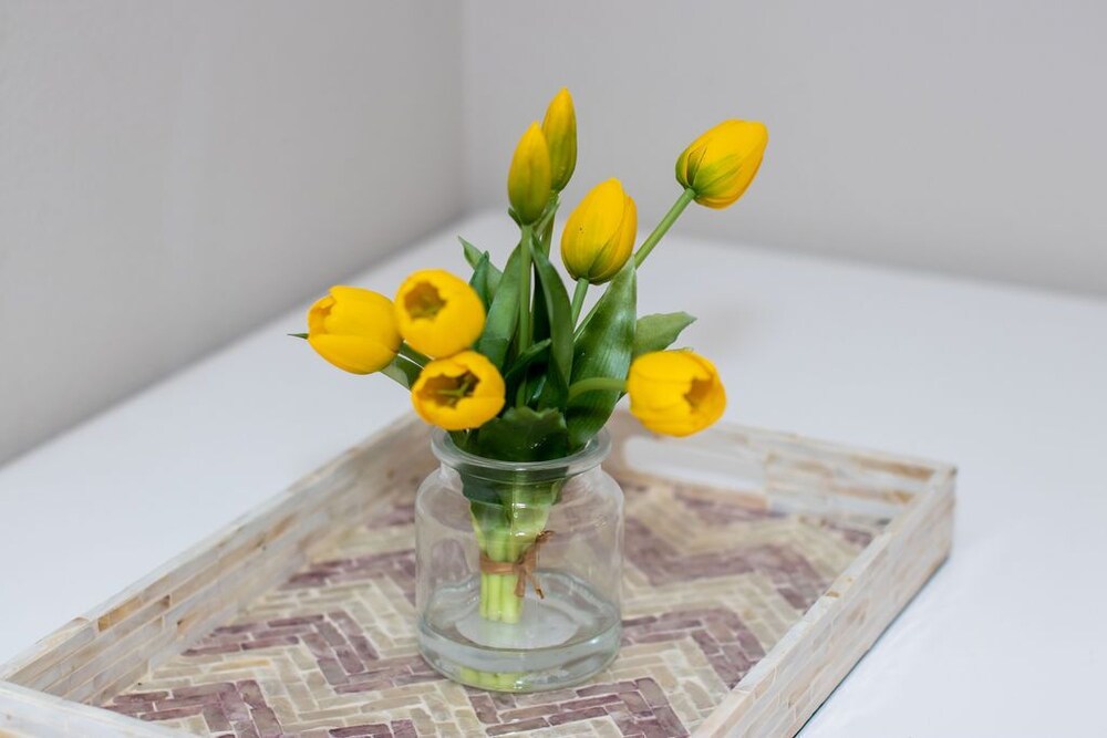 The Sweet Magnolia is just blocks from both downtown Nacogdoches & SFA campus! Nacogdoches Vrbo