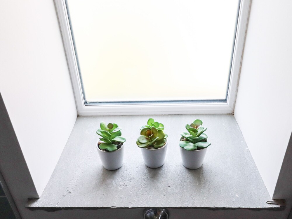 WOODGATE, pet friendly, character holiday cottage in Miller’s Dale