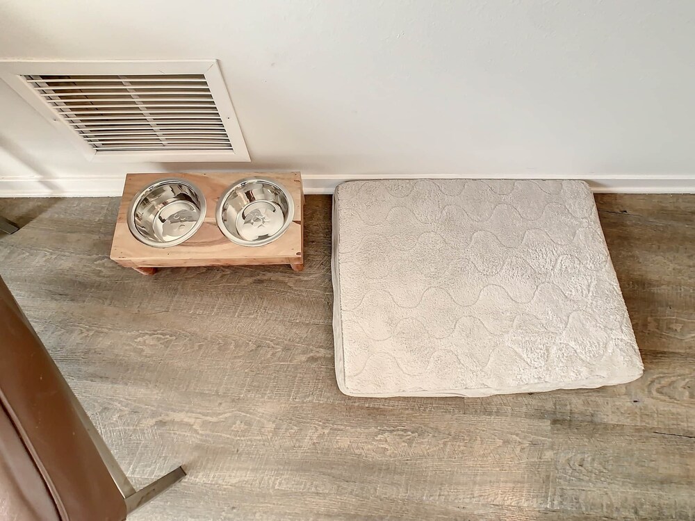 Pet Friendly in Orlando area near Disney Celebration Vrbo