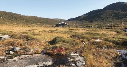 Tjeldøya