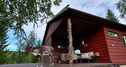 Northern lights Cabin