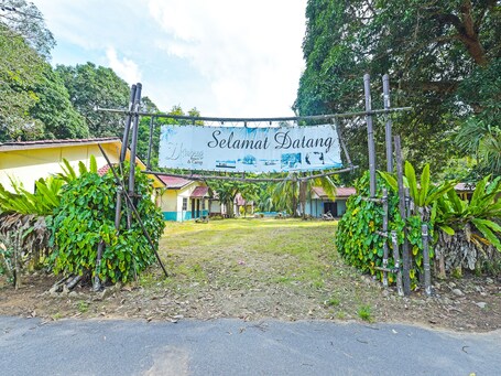 Primary image
