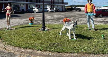 Motel Boutique by Wolf Inn