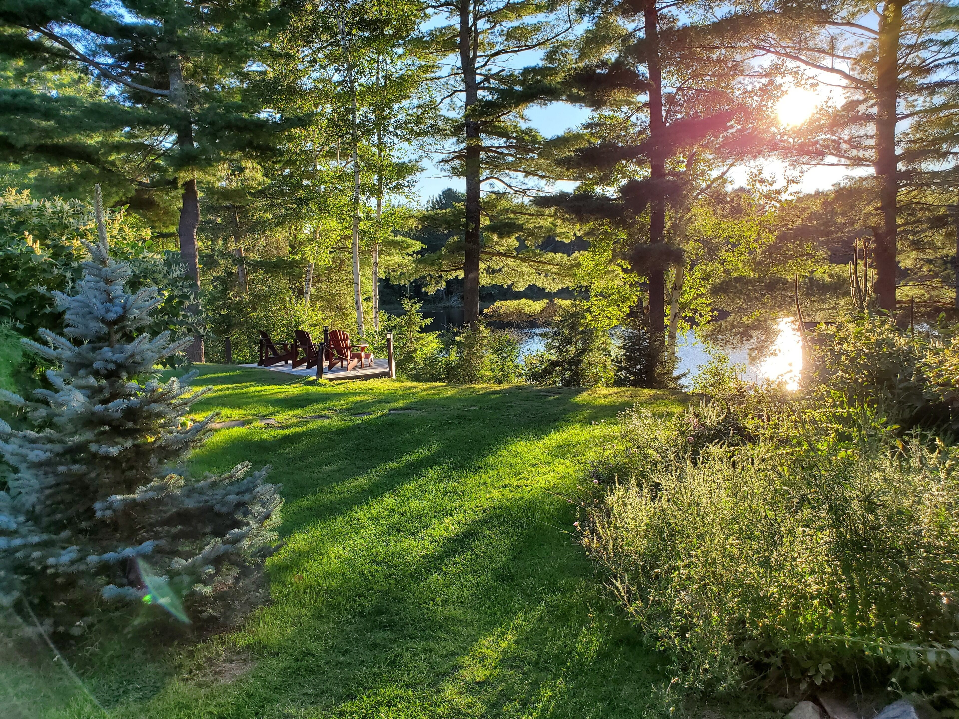 Spring Lake Resort Lake Bays  Canada Expedia