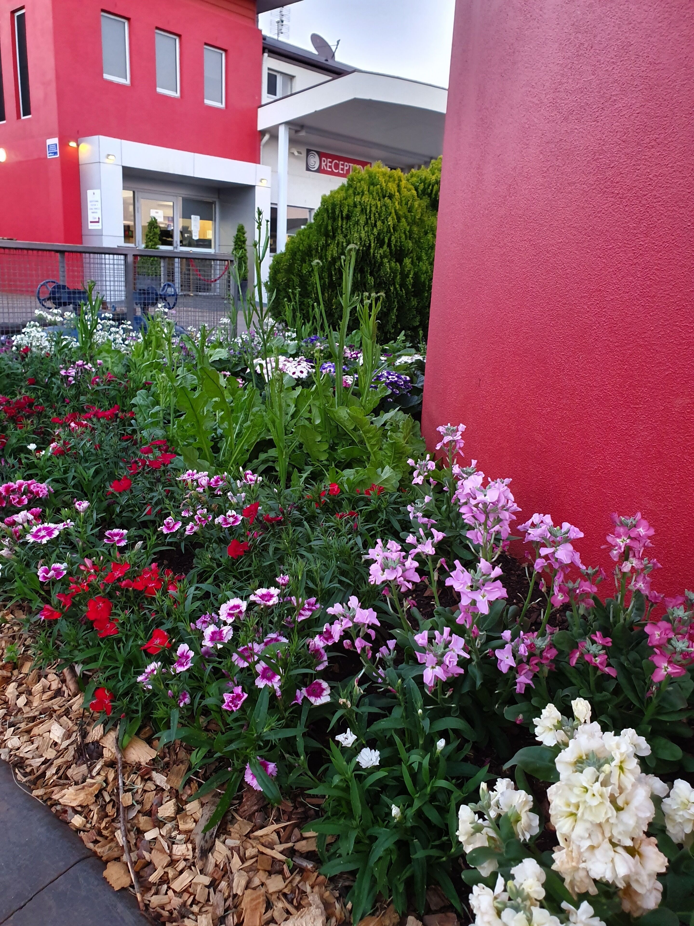 City Golf Club Motel