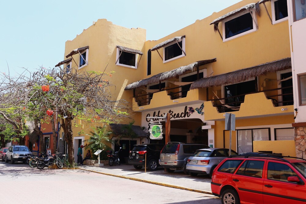 Hotel Colibri Beach Faciliteiten En Beoordelingen 2019 Expedia Be Hotel Colibri Beach Faciliteiten En