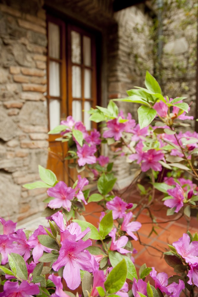 Photo - Hotel La Mision