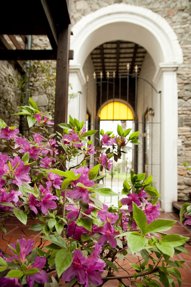 Photo - Hotel La Mision