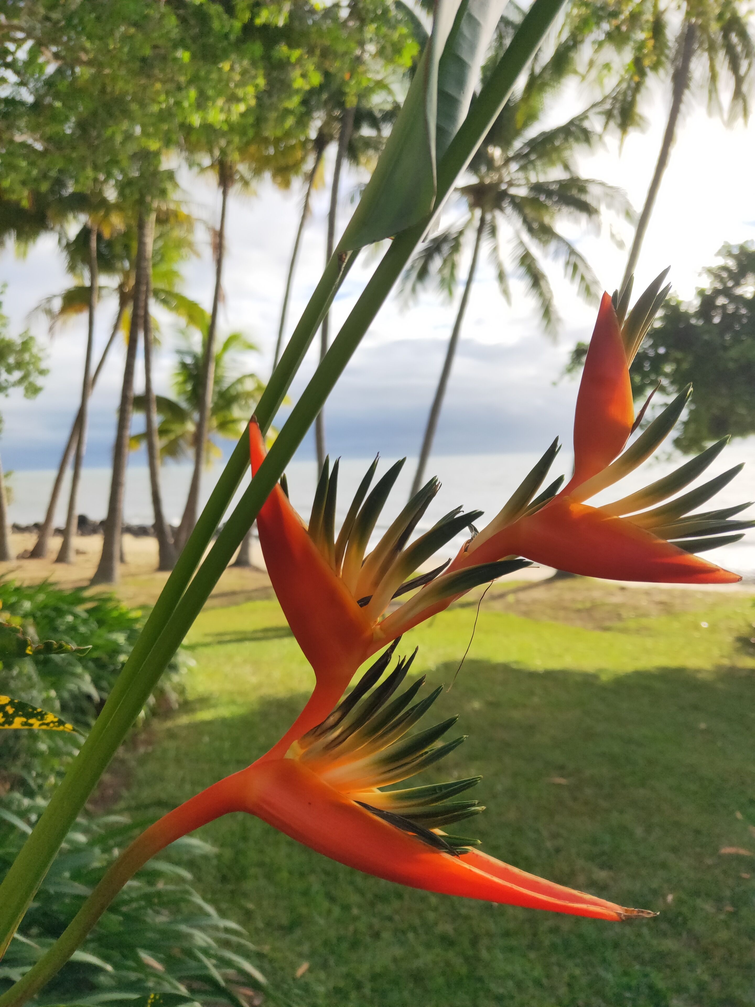 Turtle Cove Beach Resort - Adults Only LGBTQIA & Allies