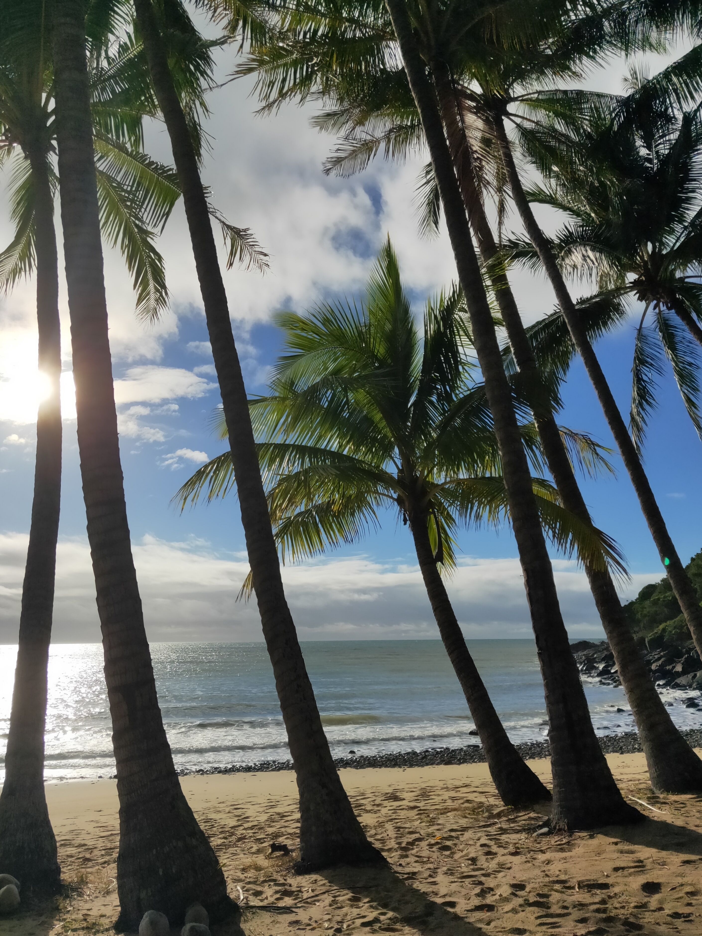 Turtle Cove Beach Resort - Adults Only LGBTQIA & Allies