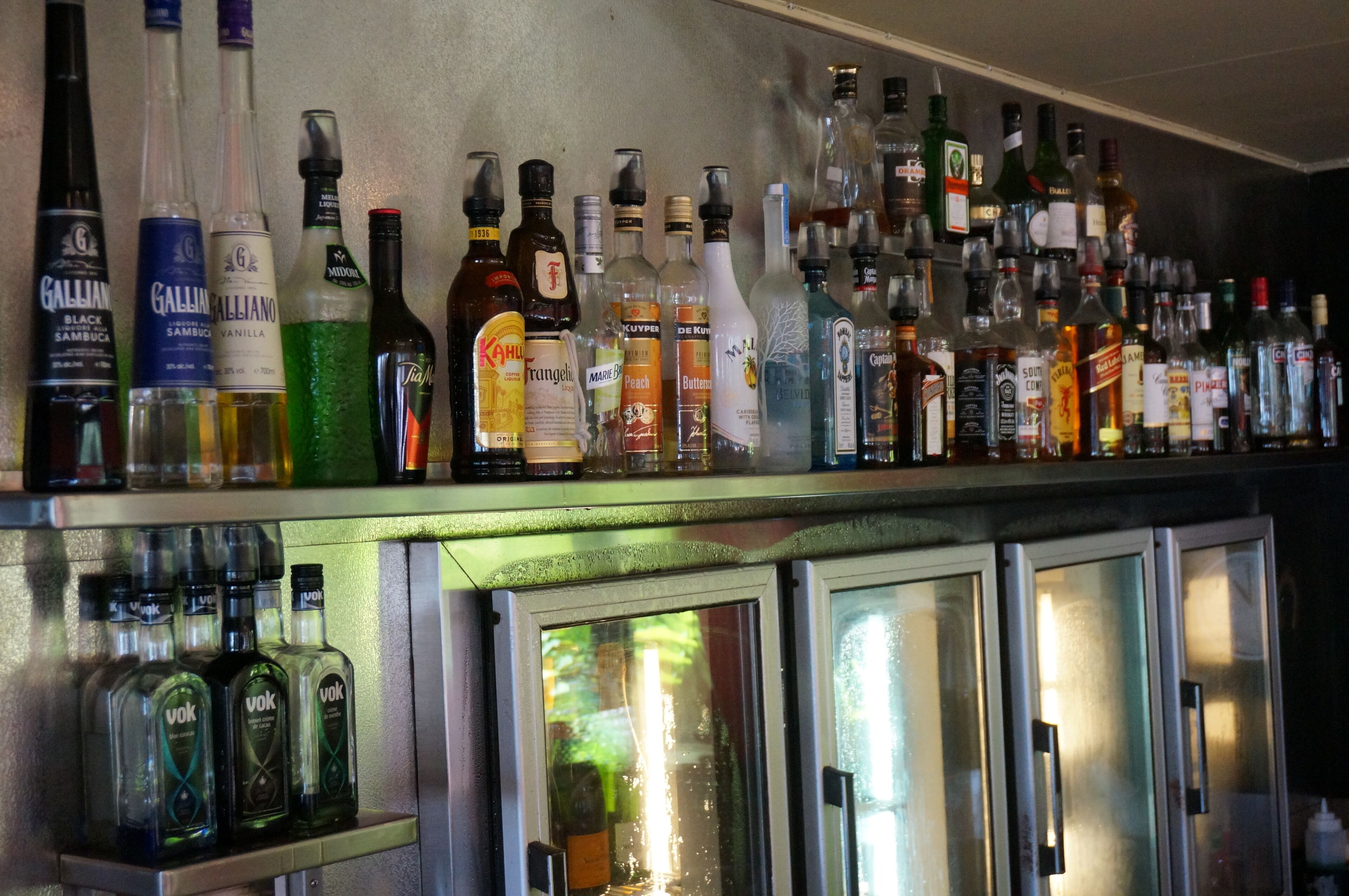 Turtle Cove Beach Resort - Adults Only LGBTQIA & Allies