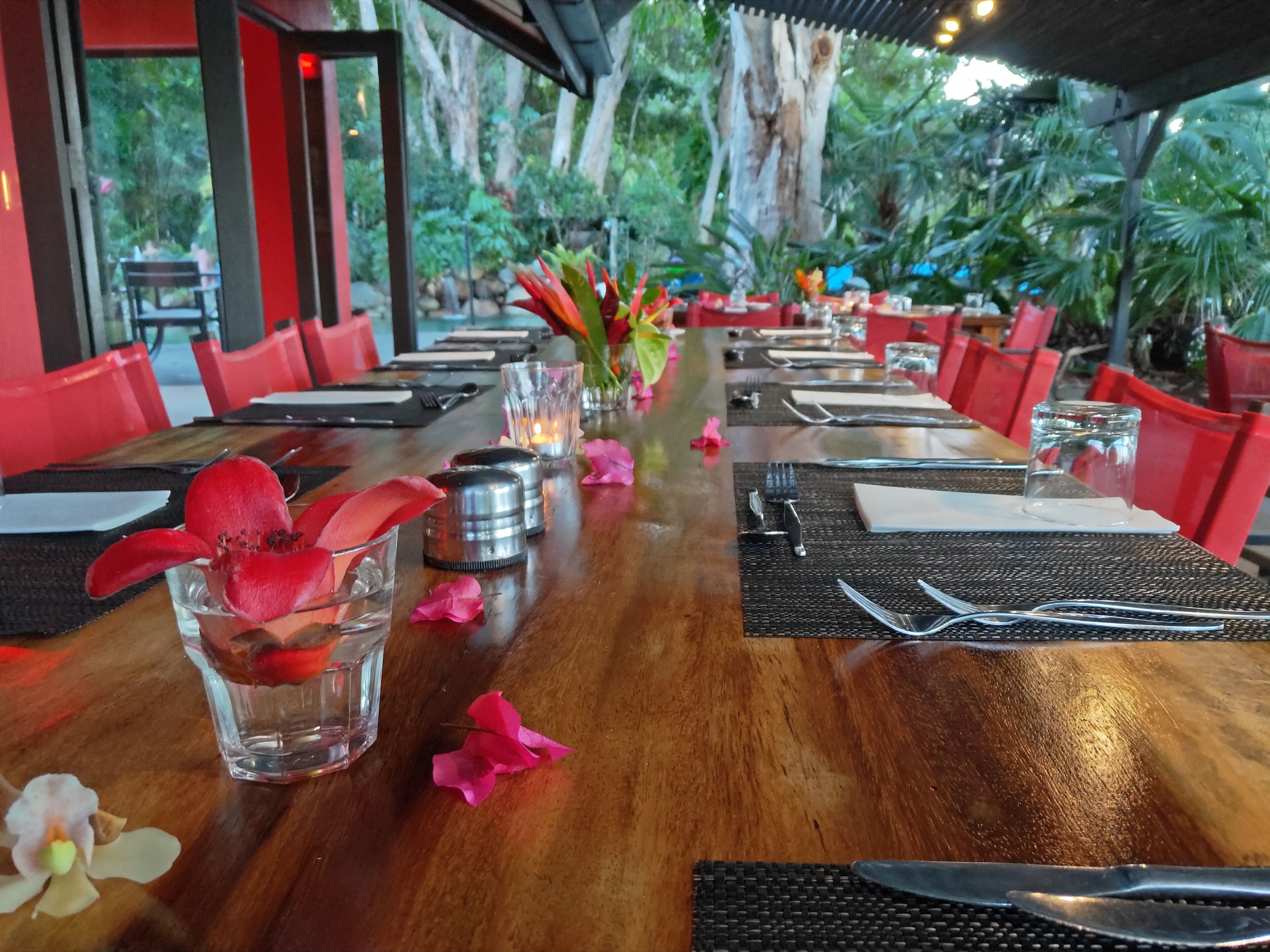 Turtle Cove Beach Resort - Adults Only LGBTQIA & Allies