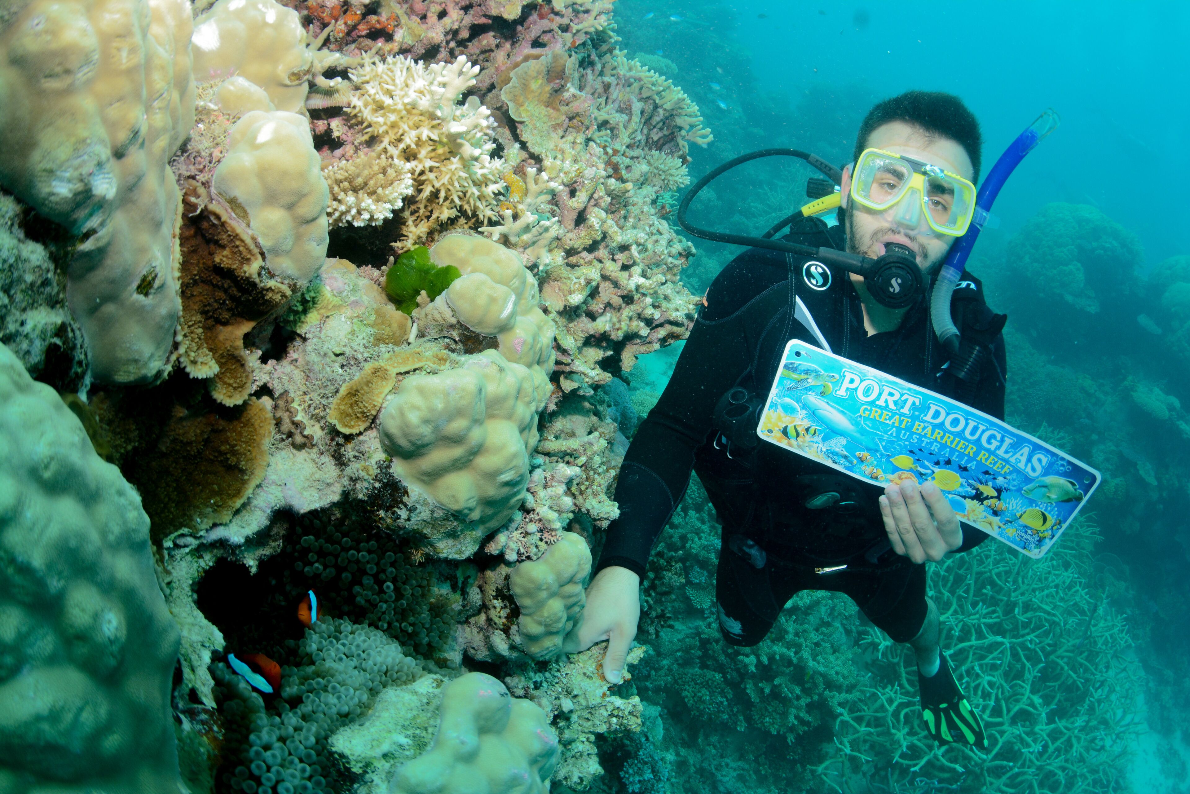 Turtle Cove Beach Resort - Adults Only LGBTQIA & Allies