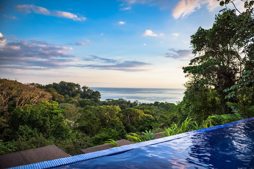 Infinity pool, Tiki Villas Rainforest Lodge & Spa