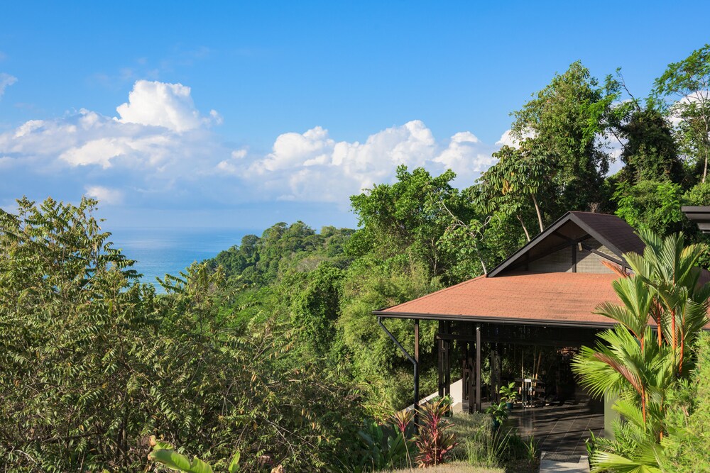 Property grounds, Tiki Villas Rainforest Lodge & Spa