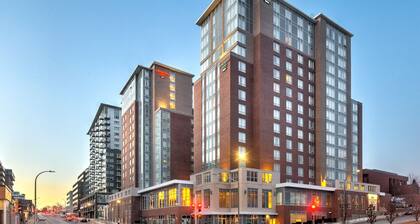 Homewood Suites by Hilton Halifax-Downtown
