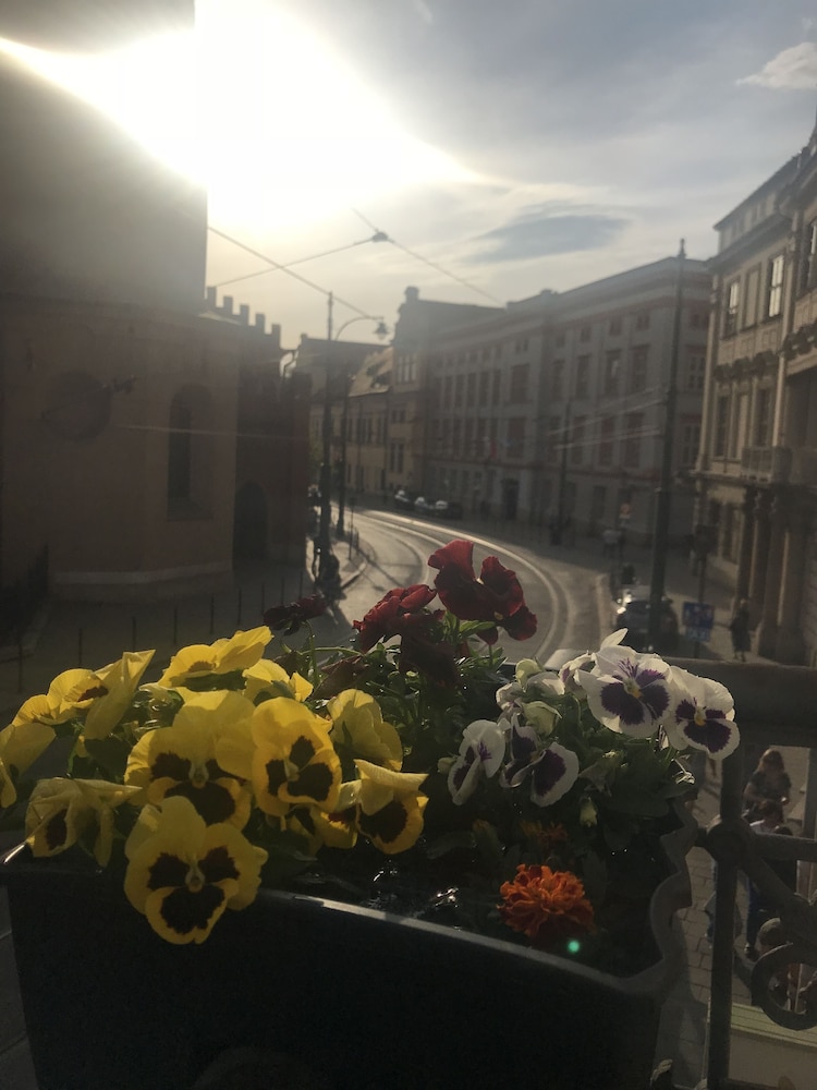 Photo - AMBER Guest Rooms