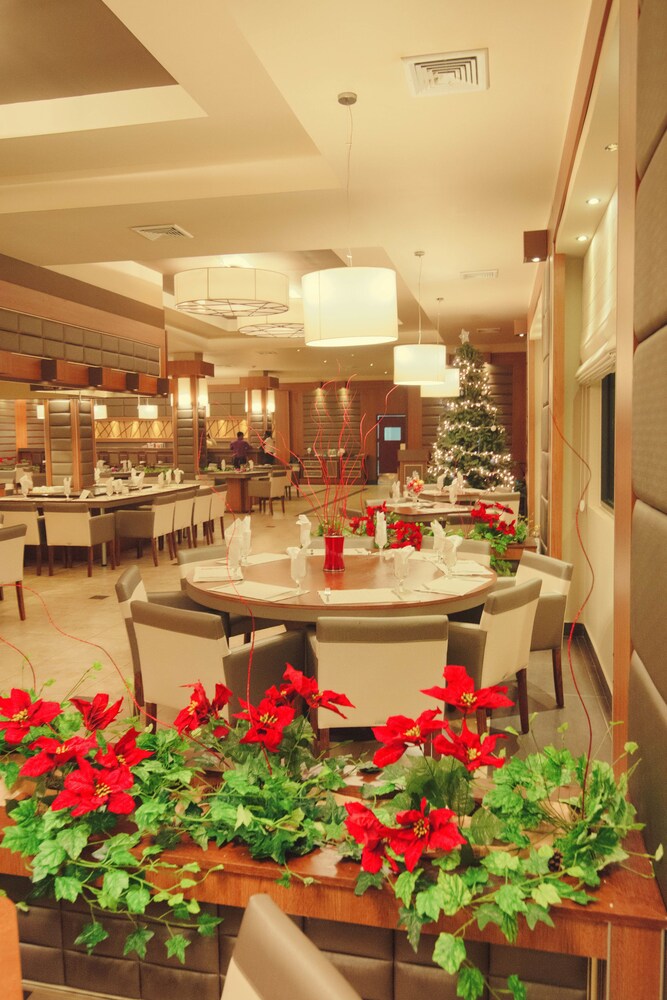 Princess hotel guyana casino