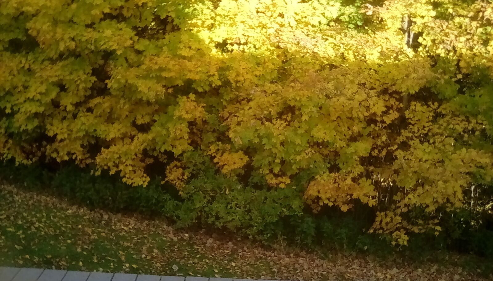 Top of the Hill in Derby, United States