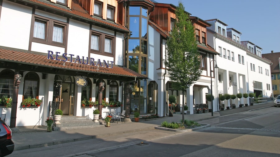 Hotel & Restaurant Goldener Pflug