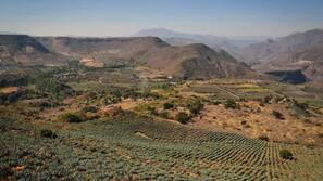 Vistas desde la habitación