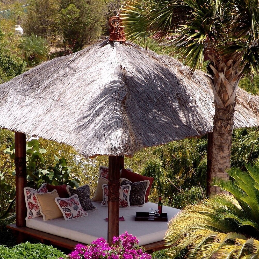 Gazebo, Anguilla's Bird of Paradise