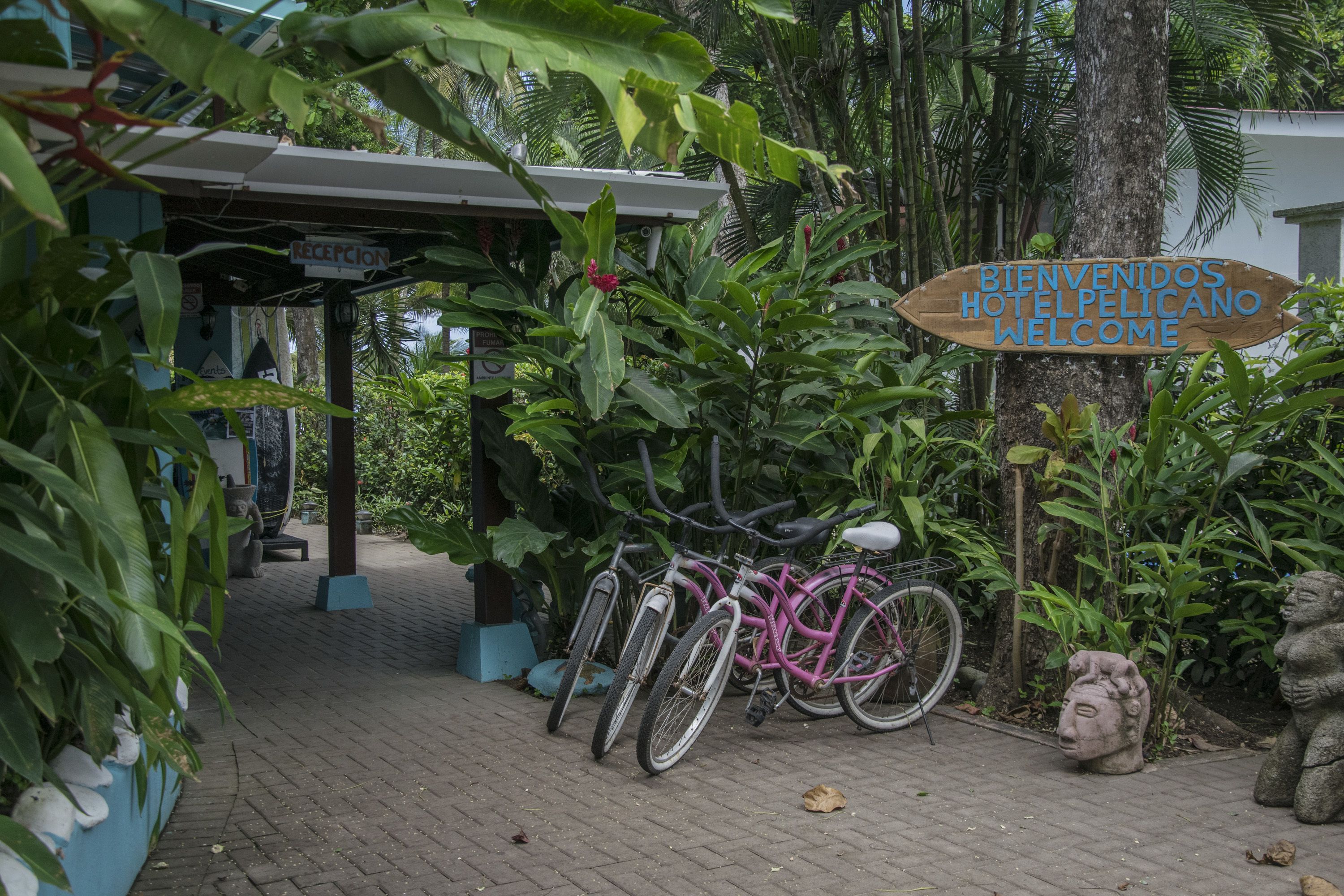 Pelican Beachfront Hotel in Esterillos Este, Costa Rica