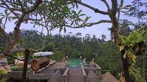 Outdoor pool, pool loungers