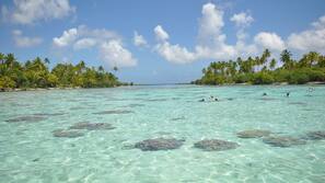Beach nearby, white sand, snorkeling, kayaking
