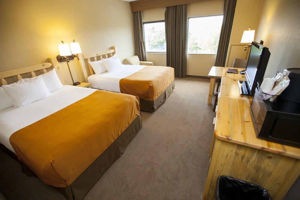 Great Wolf Lodge Boston Fitchburg MA In Fitchburg Best Rates Great Wolf Lodge Boston Fitchburg MA In Fitchburg Best Rates