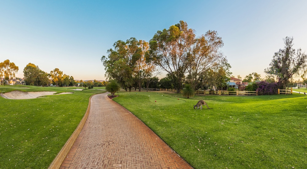 The Sebel Swan Valley The Vines