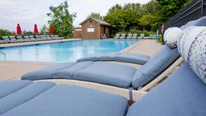 Seasonal outdoor pool, open 8 AM to 8 PM, pool umbrellas, pool loungers