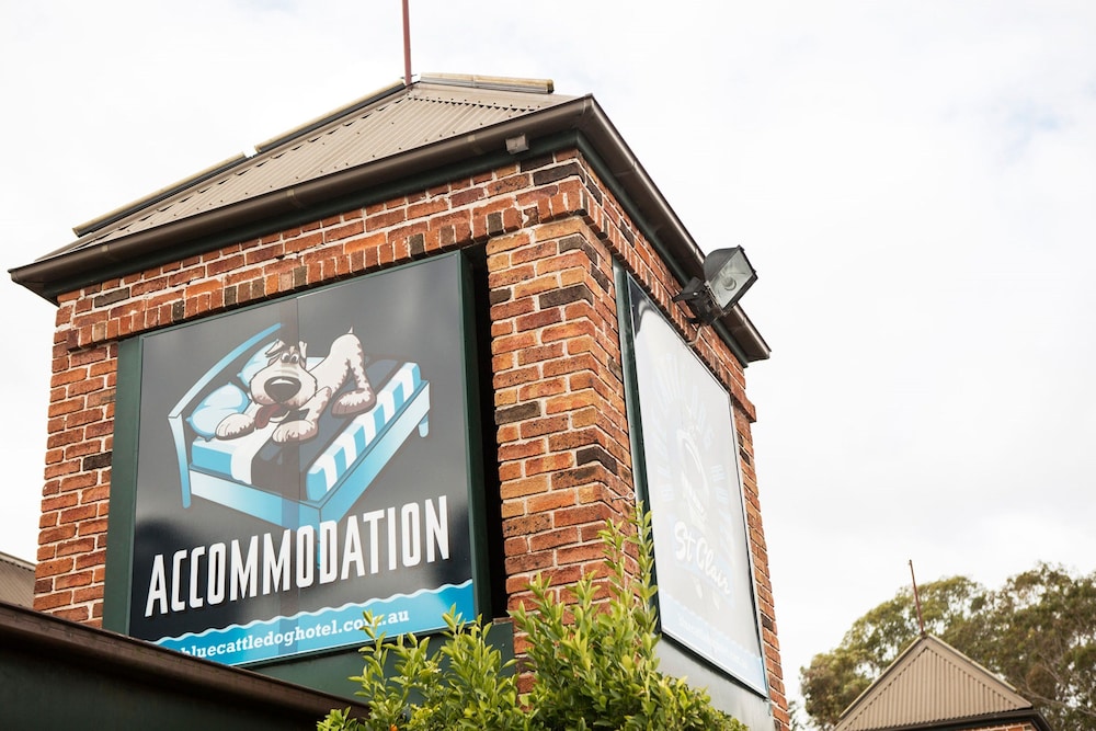 Nightcap at Blue Cattle Dog Hotel