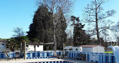 Whanganui River Top 10 Holiday Park