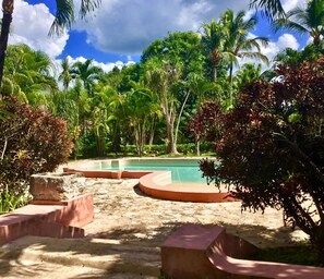 Outdoor pool, pool umbrellas, sun loungers