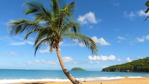 Beach nearby, sailing, kayaking, fishing