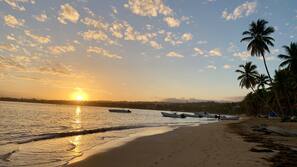Playa privada, tumbonas, toallas de playa y submarinismo