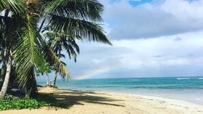 Playa privada, tumbonas, toallas de playa y submarinismo