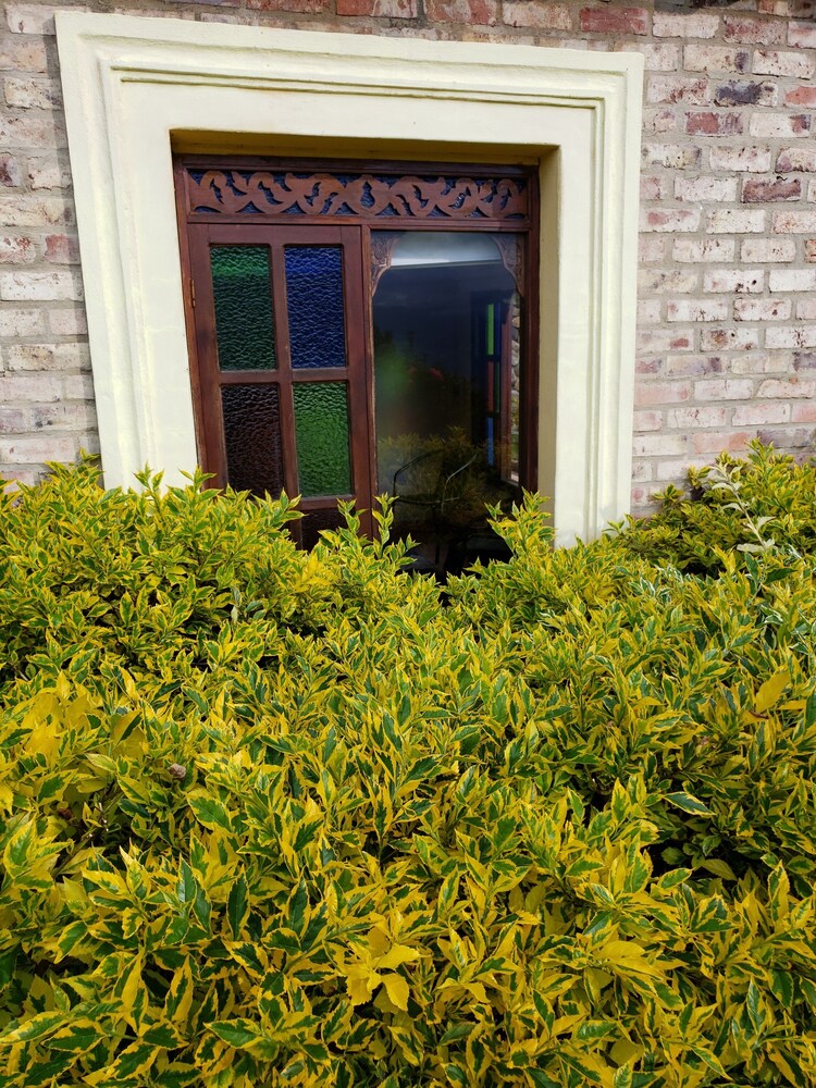 Hotel La Primavera Suites & Casas Campestres in Tunja | Best Rates