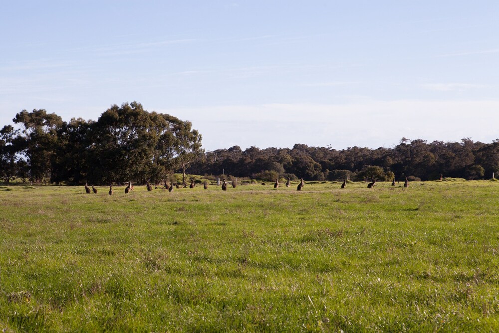 Bussells Bushland Cottages