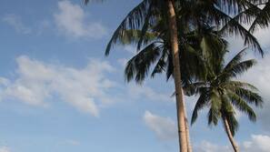 Beach nearby, beach towels