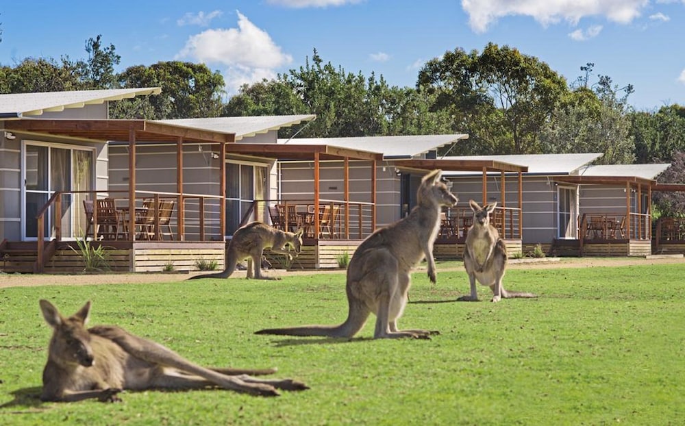 Discovery Parks - Pambula Beach