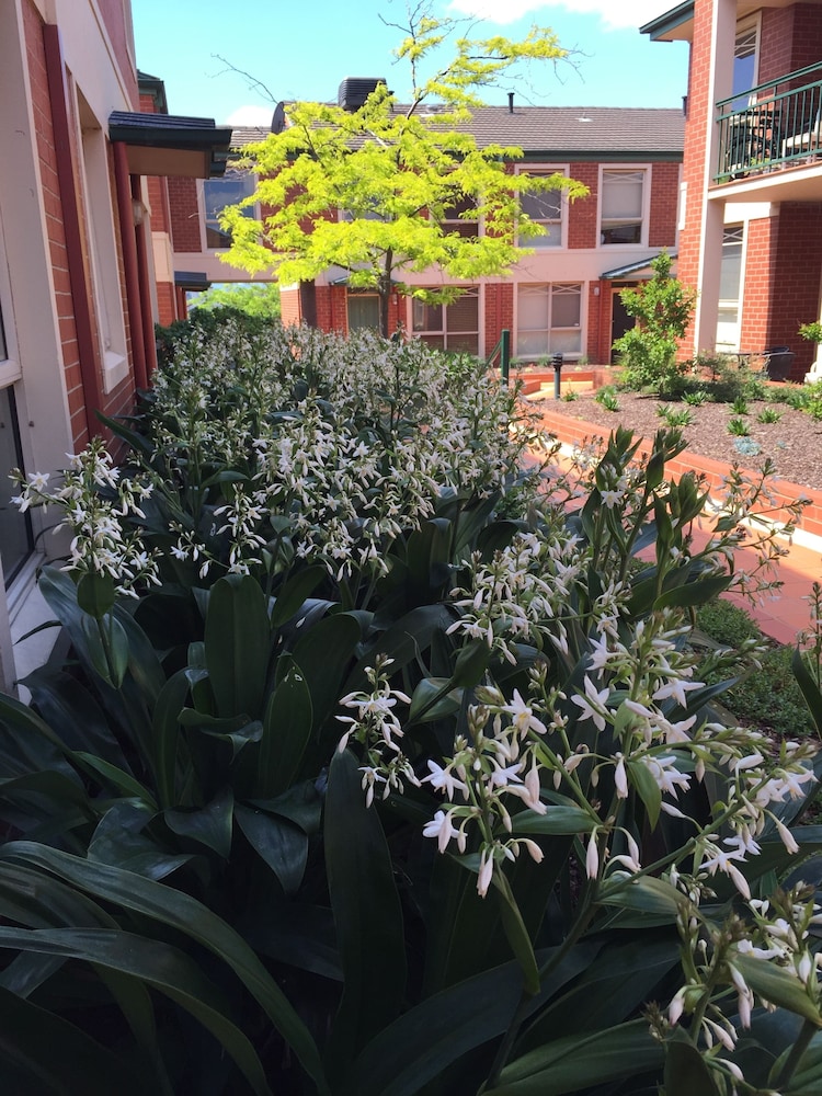 Australian Home Away @ Box Hill 2 Bedroom