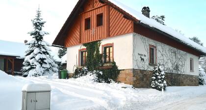 Lika Hlejov in Hlejov