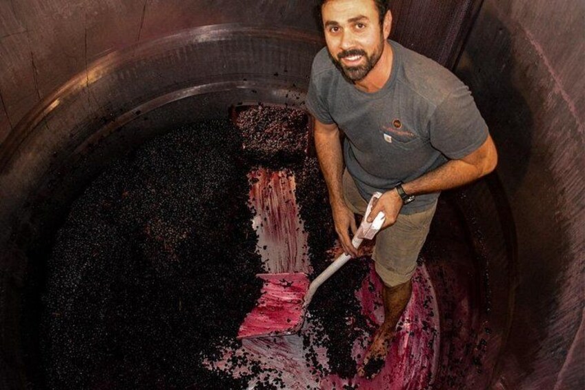 McHenry Hohnen wine maker 3